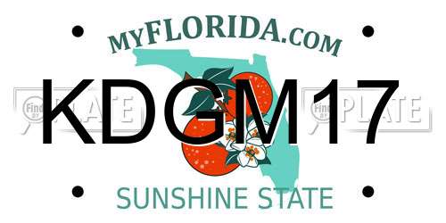 KDGM17 Florida License Plate