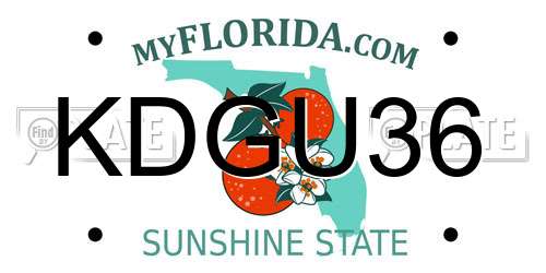 KDGU36 Florida License Plate