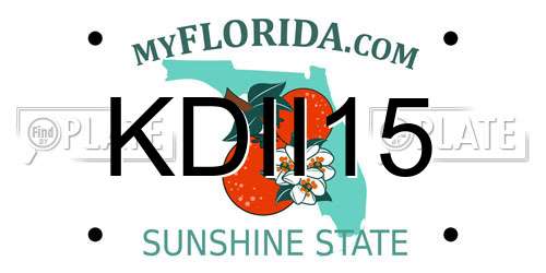 KDII15 Florida License Plate