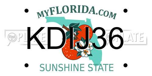 KDIJ36 Florida License Plate