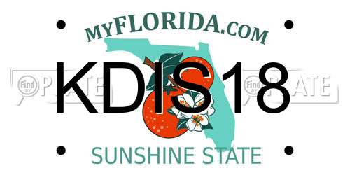 KDIS18 Florida License Plate