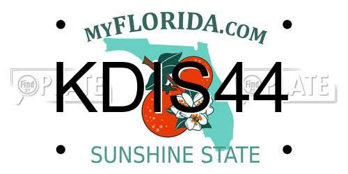 KDIS44 Florida License Plate