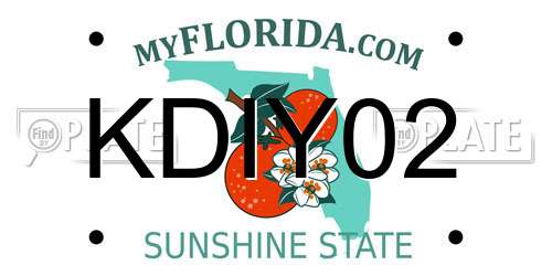 KDIY02 Florida License Plate