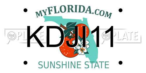 KDJI11 Florida License Plate