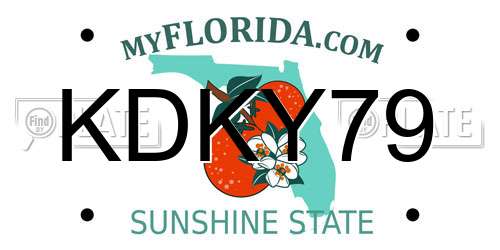 KDKY79 Florida License Plate