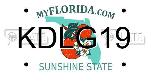 KDLG19 Florida License Plate