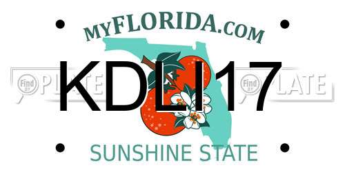 KDLI17 Florida License Plate