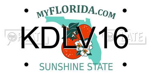 KDLV16 Florida License Plate