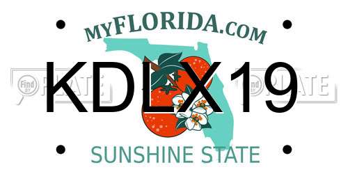 KDLX19 Florida License Plate
