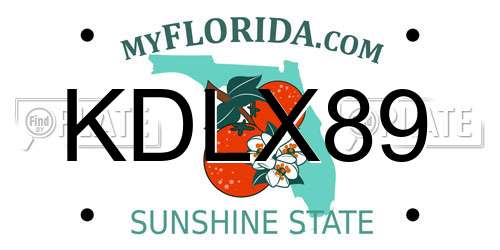KDLX89 Florida License Plate