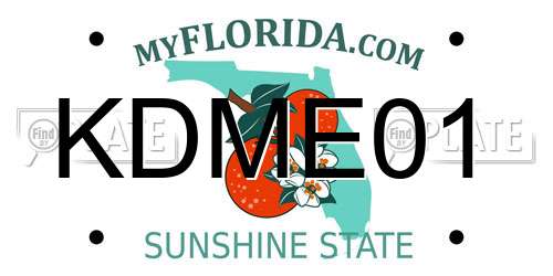 KDME01 Florida License Plate