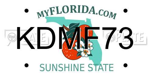 KDMF73 Florida License Plate