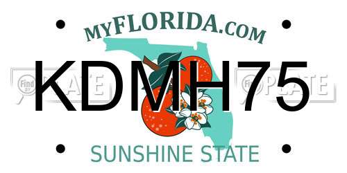 KDMH75 Florida License Plate