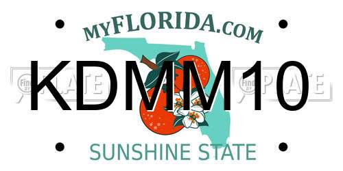 KDMM10 Florida License Plate