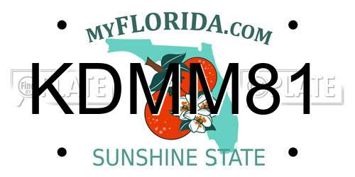 KDMM81 Florida License Plate