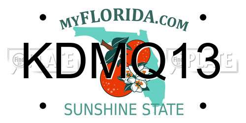 KDMQ13 Florida License Plate