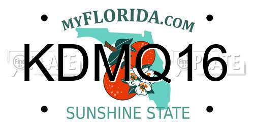KDMQ16 Florida License Plate