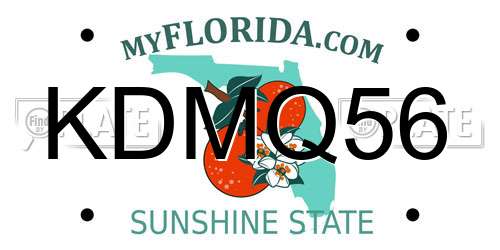 KDMQ56 Florida License Plate
