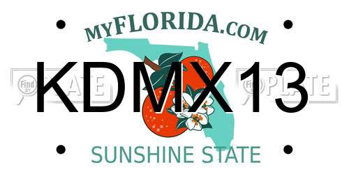 KDMX13 Florida License Plate