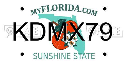 KDMX79 Florida License Plate
