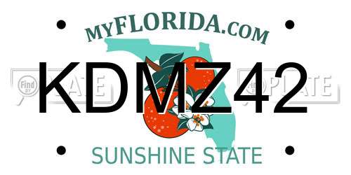 KDMZ42 Florida License Plate