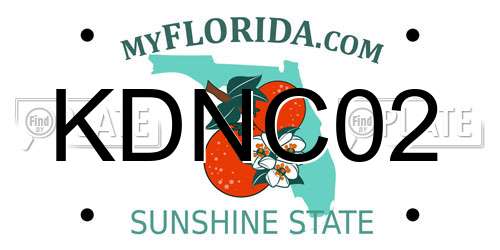 KDNC02 Florida License Plate