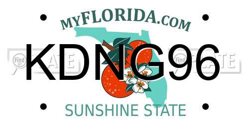 KDNG96 Florida License Plate