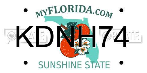KDNH74 Florida License Plate