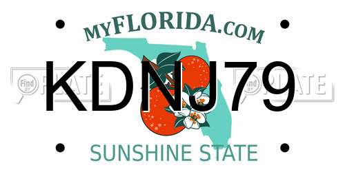 KDNJ79 Florida License Plate