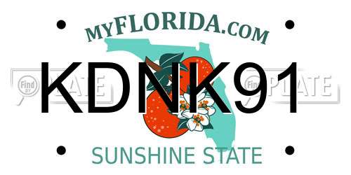 KDNK91 Florida License Plate