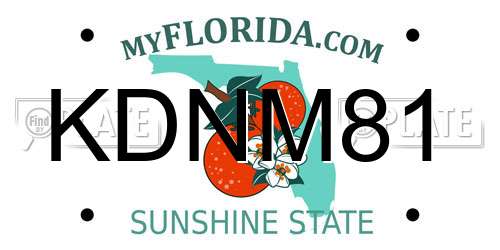 KDNM81 Florida License Plate