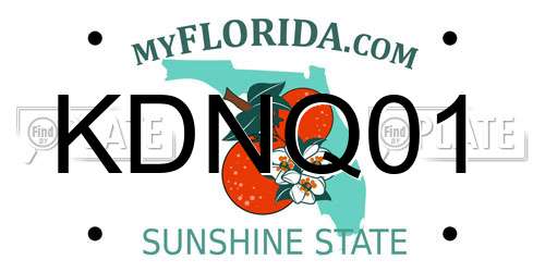KDNQ01 Florida License Plate
