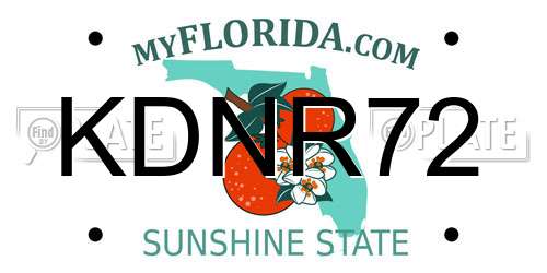 KDNR72 Florida License Plate