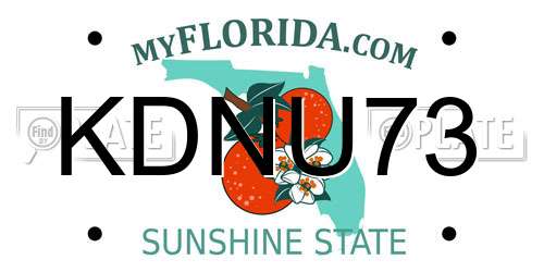 KDNU73 Florida License Plate
