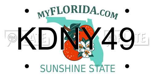 KDNY49 Florida License Plate