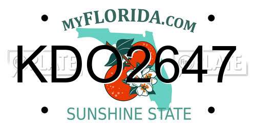 KDO2647 Florida License Plate