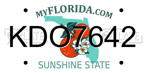 KDO7642 Florida License Plate