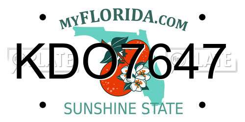 KDO7647 Florida License Plate