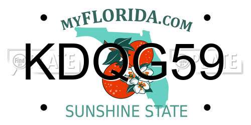 KDQG59 Florida License Plate