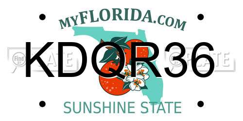 KDQR36 Florida License Plate