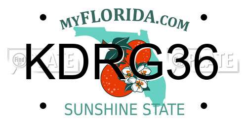 KDRG36 Florida License Plate