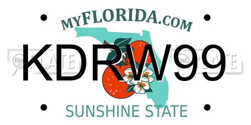 KDRW99 Florida License Plate