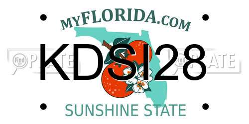 KDSI28 Florida License Plate