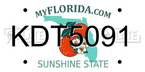 KDT5091 Florida License Plate