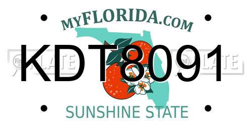 KDT8091 Florida License Plate