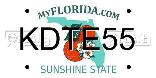 KDTE55 Florida License Plate