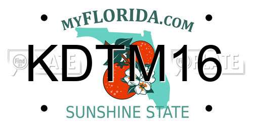 KDTM16 Florida License Plate