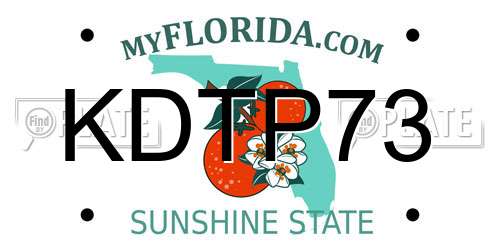 KDTP73 Florida License Plate