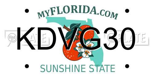 KDVG30 Florida License Plate
