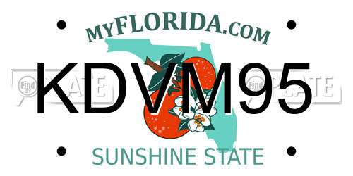 KDVM95 Florida License Plate